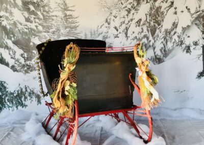 Picture Me On The Farm - Farm Photo Shoots